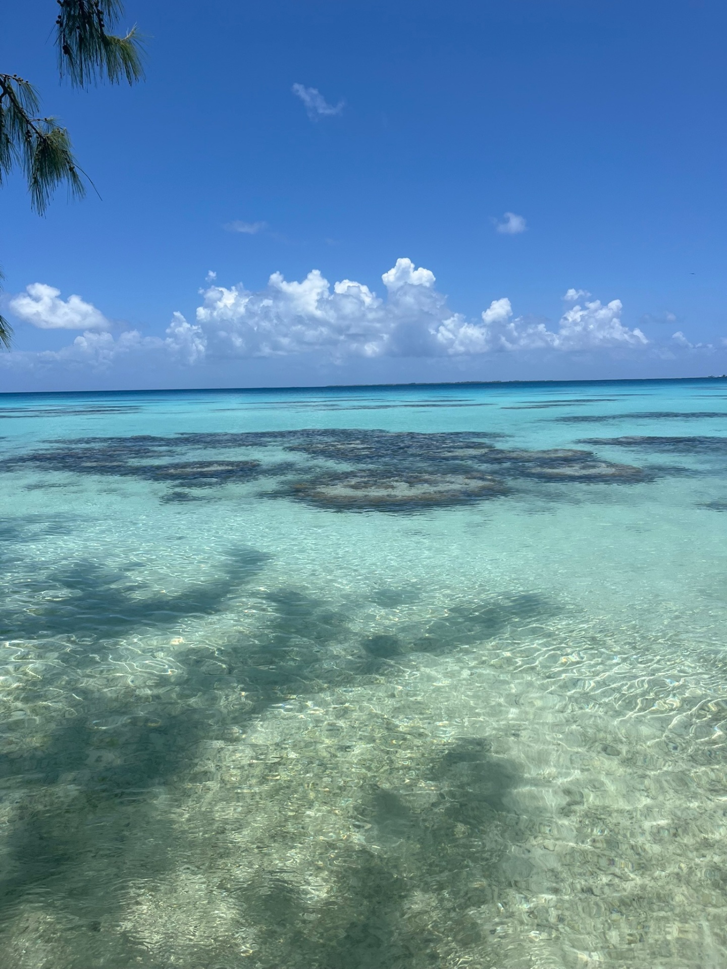 The Tuamotus